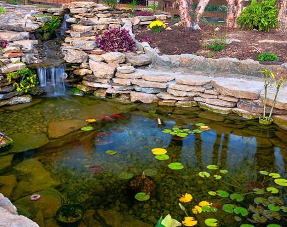 Pond | Landscaping