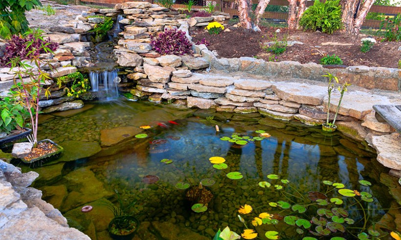 Pond | Landscaping