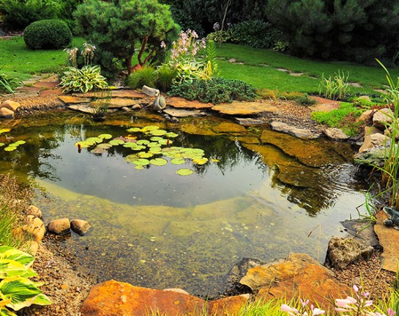 Pond | Landscaping