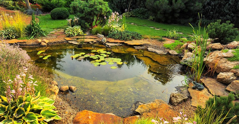 Pond | Landscaping