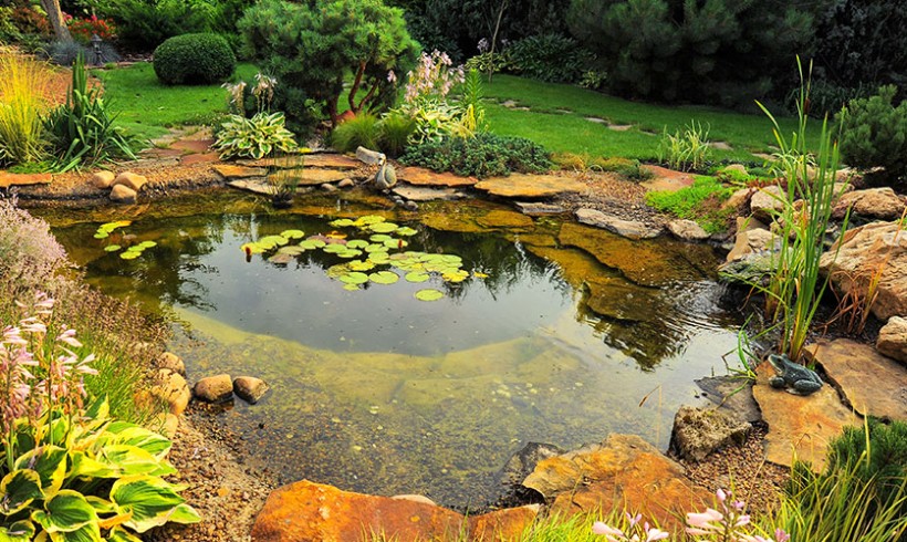 Pond | Landscaping